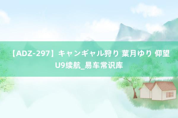 【ADZ-297】キャンギャル狩り 葉月ゆり 仰望U9续航_易车常识库