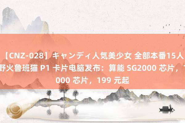 【CNZ-028】キャンディ人気美少女 全部本番15人30連発 野火鲁班猫 P1 卡片电脑发布：算能 SG2000 芯片，199 元起