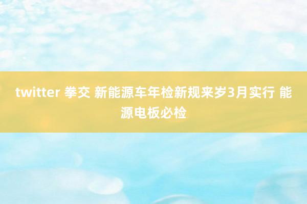 twitter 拳交 新能源车年检新规来岁3月实行 能源电板必检