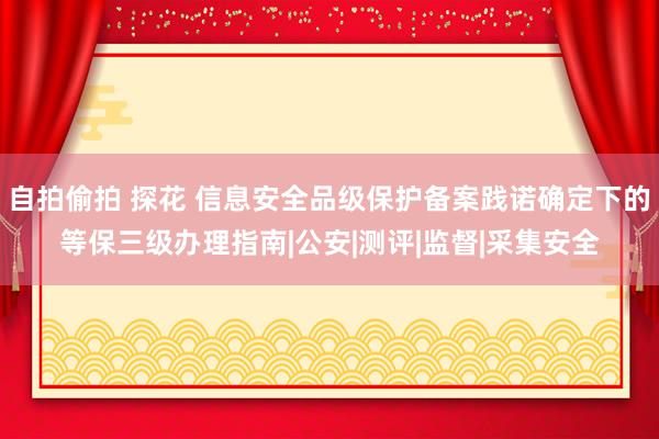 自拍偷拍 探花 信息安全品级保护备案践诺确定下的等保三级办理指南|公安|测评|监督|采集安全