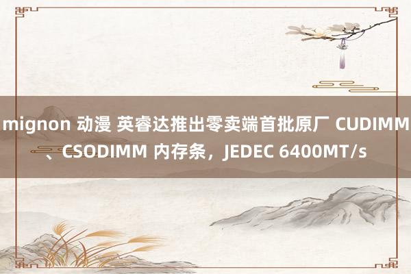 mignon 动漫 英睿达推出零卖端首批原厂 CUDIMM、CSODIMM 内存条，JEDEC 6400MT/s