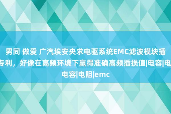 男同 做爱 广汽埃安央求电驱系统EMC滤波模块插损仿真专利，好像在高频环境下赢得准确高频插损值|电容|电阻|emc