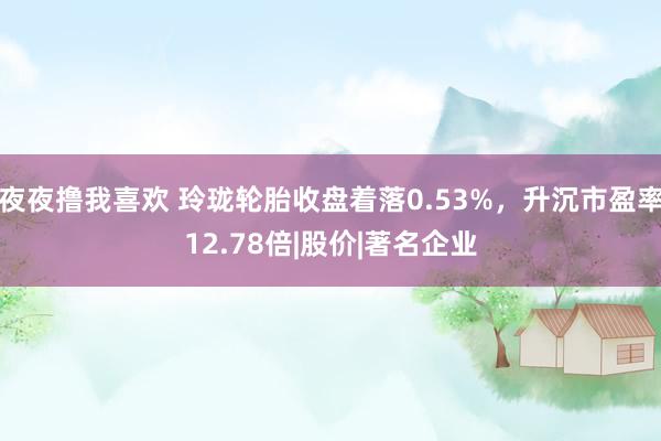 夜夜撸我喜欢 玲珑轮胎收盘着落0.53%，升沉市盈率12.78倍|股价|著名企业